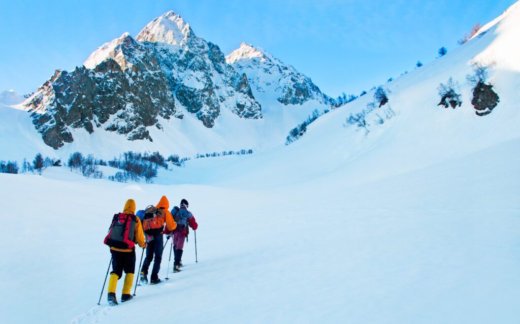 Snowshoeing (Vixit - Shutterstock)-ab6f10ad