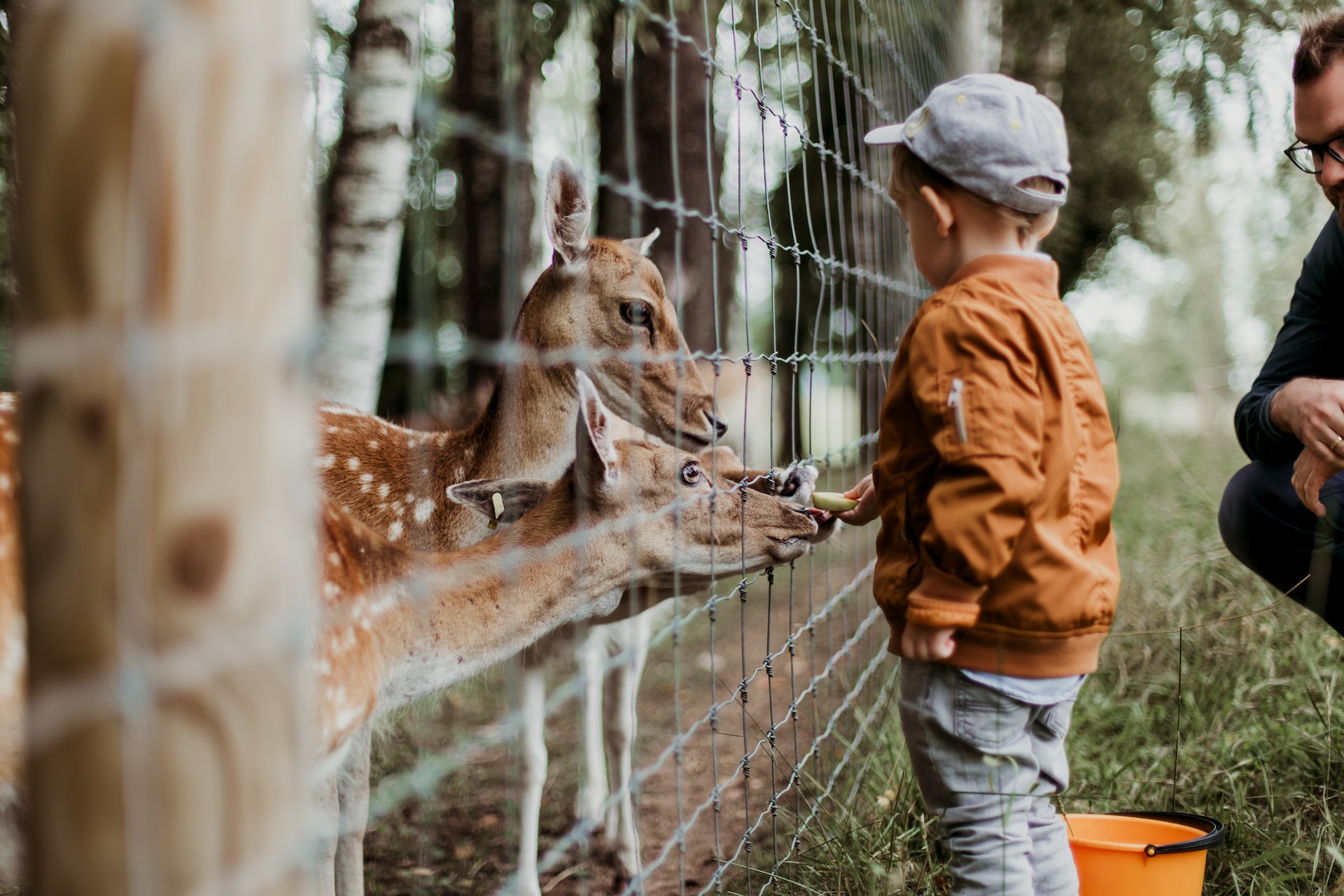 Best Zoos to visit in the UK North East Connected