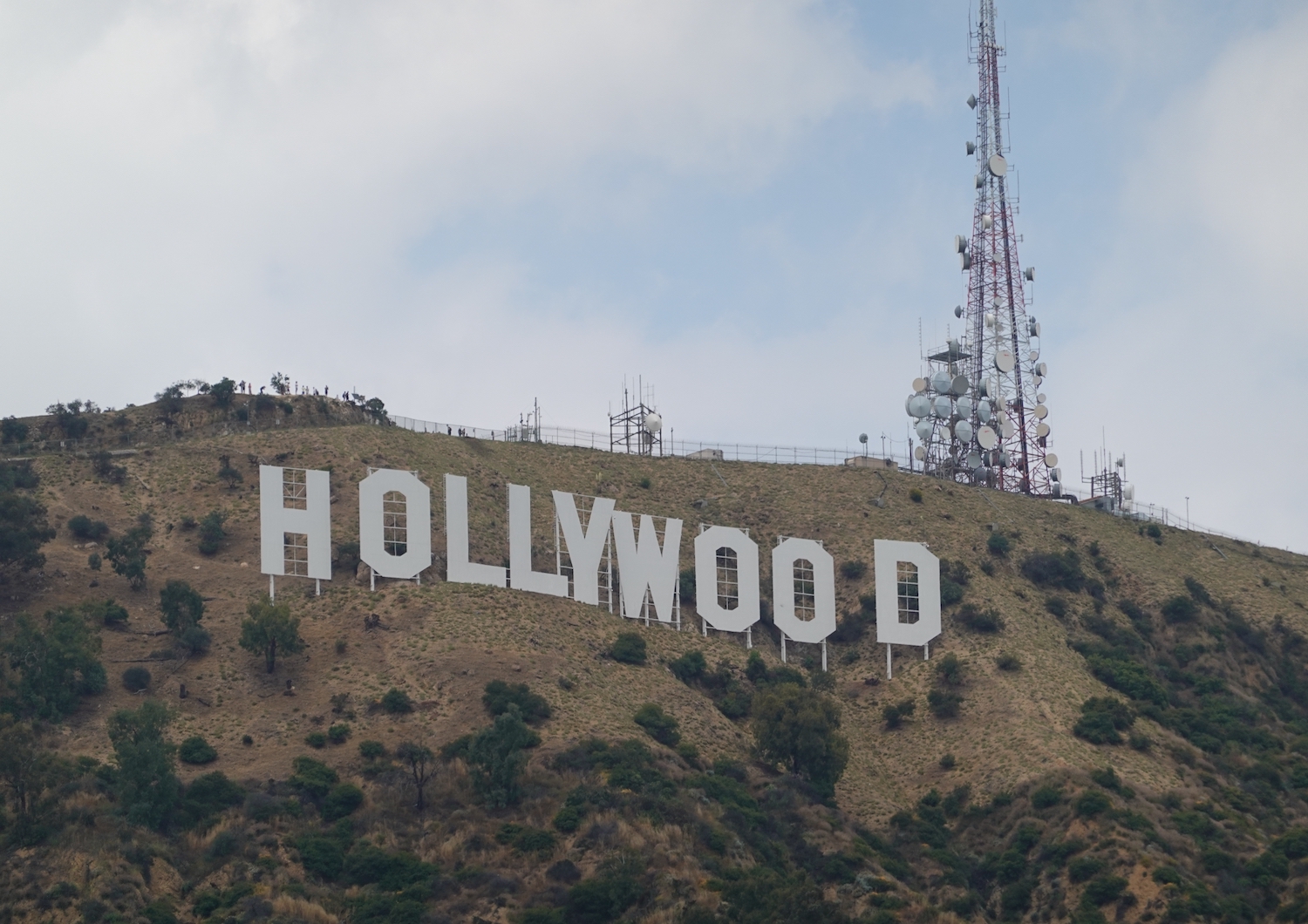 Hollywood (KEG-KEG)