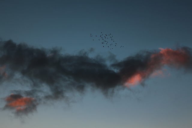 cloudy photo