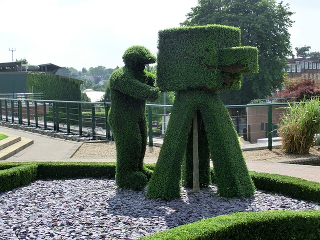 Wimbeldon photo