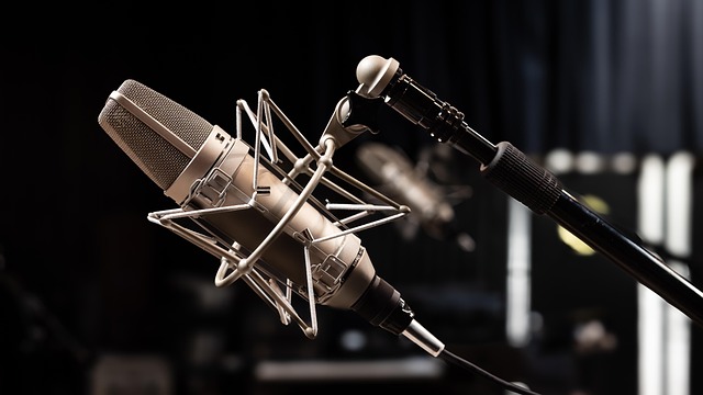 Photo by MountainDweller mic photo