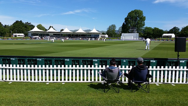 cricket photo