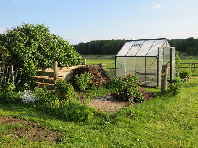 Allotments photo