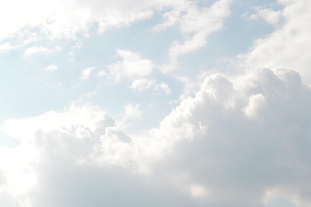 Photo by Pexels sunny photo